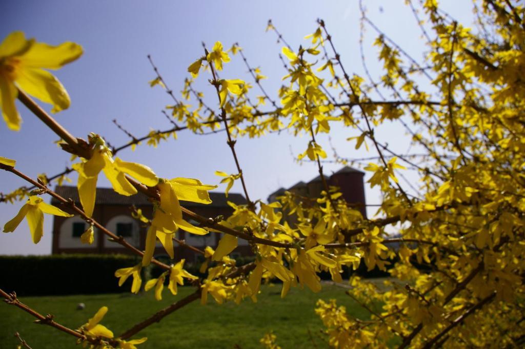 Agriturismo Cascina Nuova Βίλα Valenza Εξωτερικό φωτογραφία