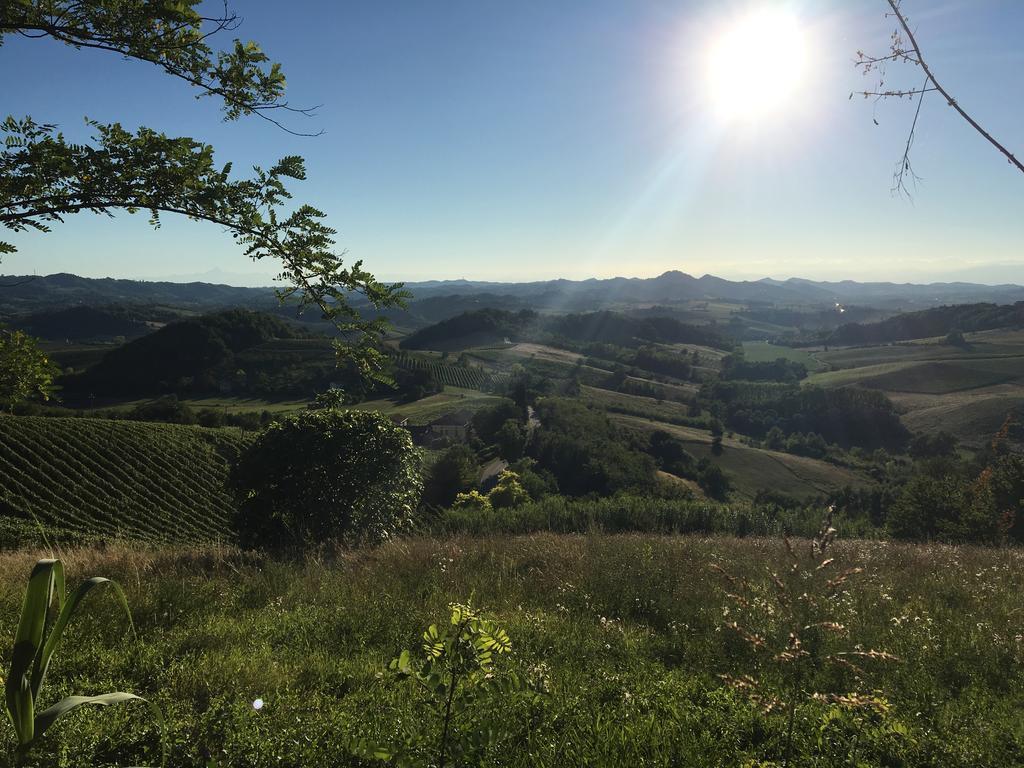 Agriturismo Cascina Nuova Βίλα Valenza Εξωτερικό φωτογραφία