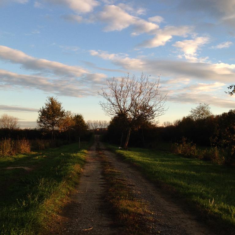 Agriturismo Cascina Nuova Βίλα Valenza Εξωτερικό φωτογραφία