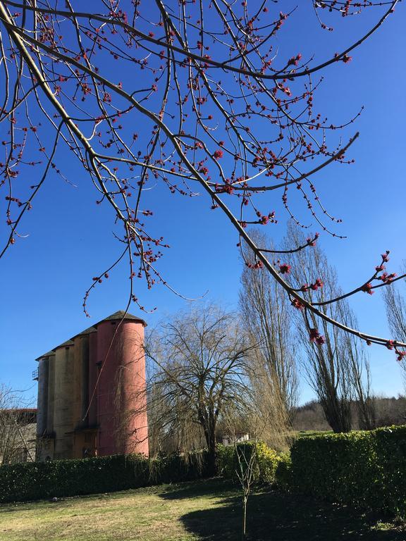 Agriturismo Cascina Nuova Βίλα Valenza Εξωτερικό φωτογραφία