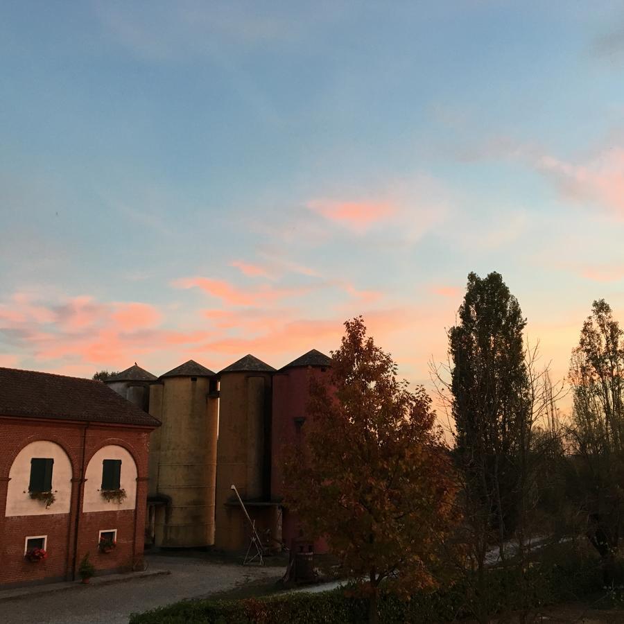 Agriturismo Cascina Nuova Βίλα Valenza Εξωτερικό φωτογραφία